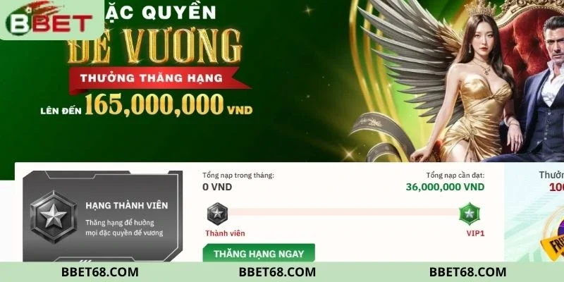 Ưu đãi dành cho thành viên trung thành